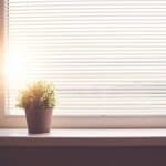 Top 5 benefits of professional cleaning